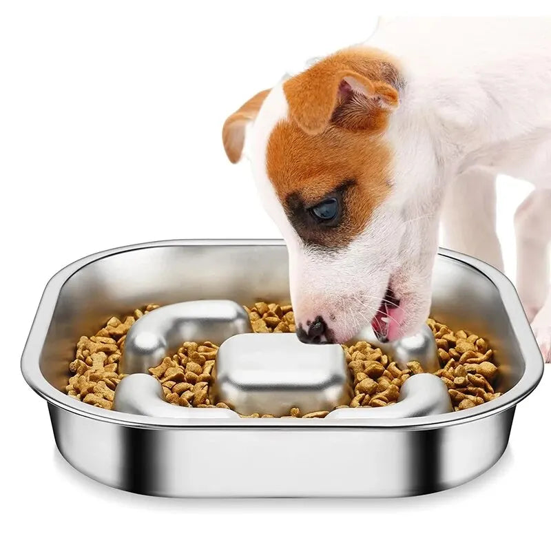 Dog Slow Feeder Bowls